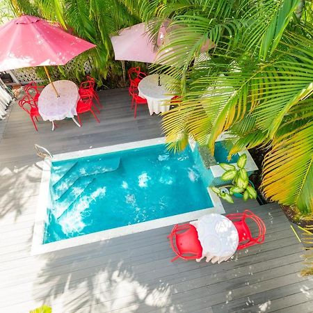 Knowles House B&B - Adult Only Key West Dış mekan fotoğraf
